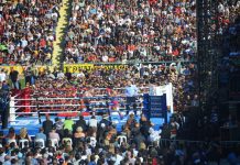 A new world champion