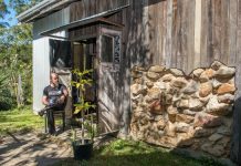 Art opens many doors