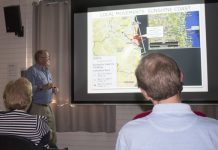 Bats hover around food