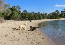 Council mulls erosion mitigation measures