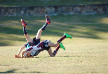 Silky skills on display