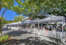 Festa back under tourism roof