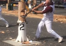 Four decades of woodchop