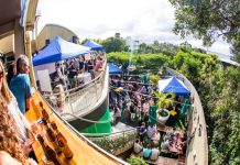 Beer, beer glorious beers