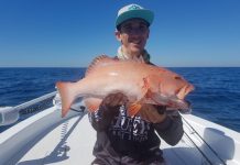 Late winter weather perfect for reef