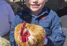 More than fun at the fete