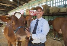 Prized bird and cash cow