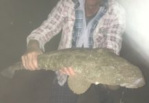 It’s all about the flathead in the Noosa River