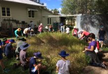 Sustainability in action