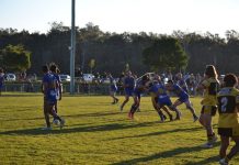 Is this the Year of the Pirates?