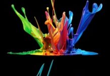 Artists open creative doors