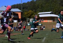 Dolphins finish season on a high