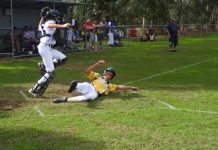 Softball set for summer season