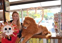 Daddy lion plays games