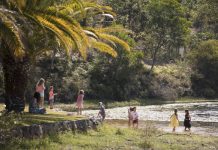 Council to own gardens