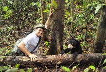 Gong for Wong for sun bear conservation