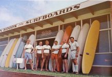 Must-see film festival sessions