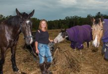 Horses the best teachers