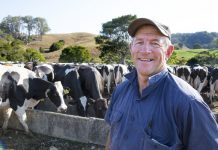 More than it’s worth