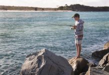 Biosphere up for review