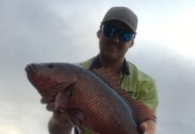 Murky river makes fishing easier