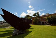 Amazing bodies of art