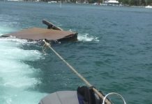 Cute pair looking for love