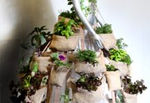 College holds arts spectacular