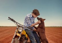 Red Dog at Cooroy Library Rooftop