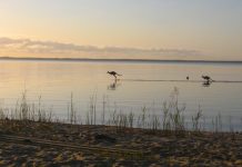 Elanda Point jetty plans slammed