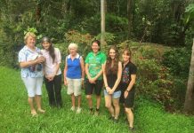 Help needed for wildlife rehabilitation