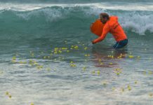 Duck in for this one