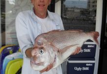 Plenty of trevally and tailor on offer