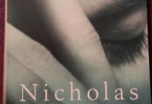 The Divide (audiobook) by Nicholas Evans