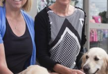 Pups appealing for care