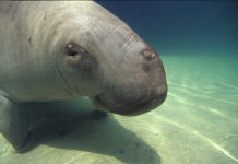 Research into Colton coal mine fallout