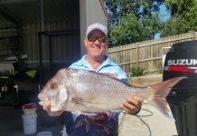 Nice whiting in the Frying Pan
