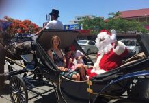 Christmas spirit overtakes Tewantin