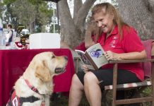 Get smart with these pups