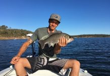 Good catches on run out tides