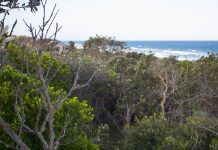 Views for all to enjoy