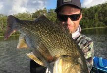 Night fishers reap rewards