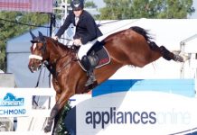 Jumping the hurdles to international glory