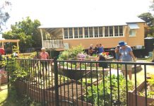 See how garden grows