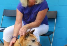 Pets at home with fee relief