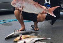 River producing a very steady catch