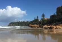 History from all views