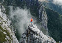 Tassie will rock you