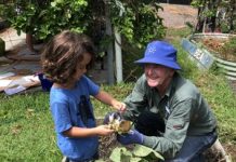 Creating bush babies