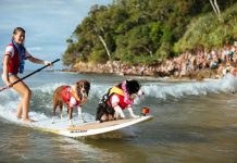 Eight Days Of Pure Stoke